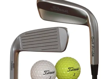 Home Mini Golf 3D model