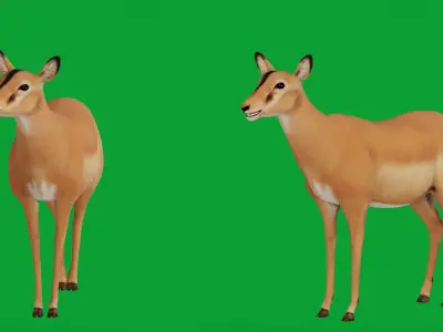 Black Faced Female Impala Low-poly 3D model