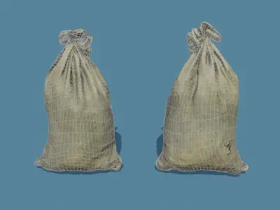 3D Scan Old Bag 02 Free low-poly 3D model