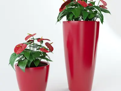 Anthurium plant pots - plant pots 3D model