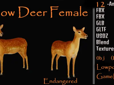 Female Fallow Deer Low-poly 3D model