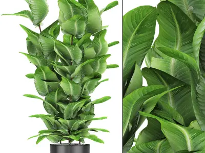 Plant in Pot Flowerpot Exotic Plant 3D model 3