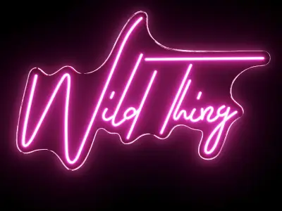 Wild Thing Neon Sign 3D model