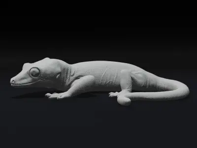 Gargoyle Gecko Pet Reptile 3D Print Model 3D print model
