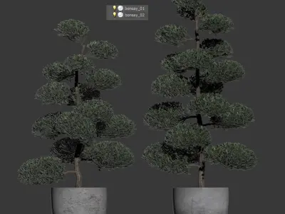 Bonsai with spherical branches - 2 models 3D model