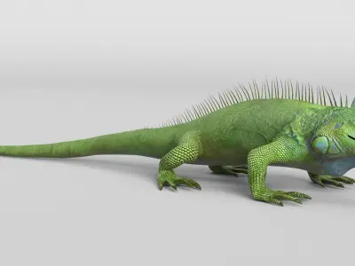 Iguana 3D model