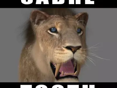Sabretooth - 3d model lion 3D model