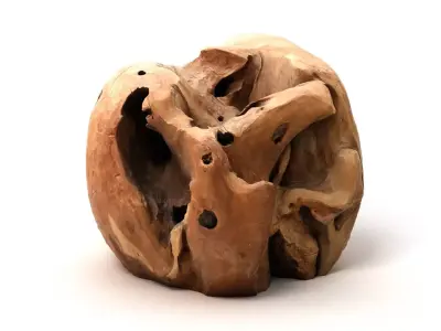 Drift Wood 1 3D model