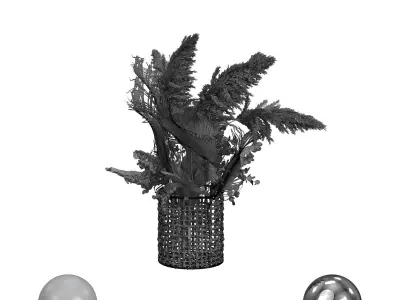 Bouquet of Dried Flowers 3D model