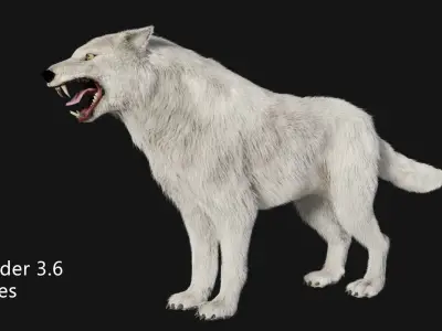 animated arctic wolf Low-poly 3D model