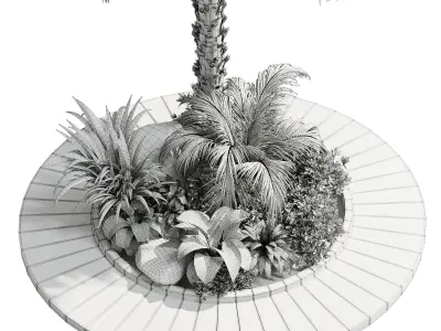 Palm garden - Outdoor plant Collection 138 Low-poly 3D model