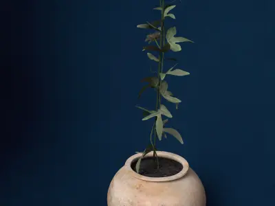 XfrogPlants Passion Flower 3D model