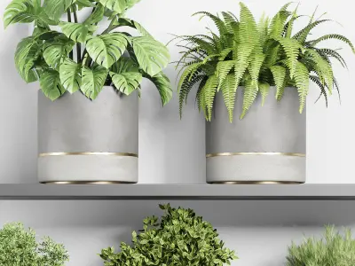 indoor outdoor plant vase concrete plant pot on shelves 3D model