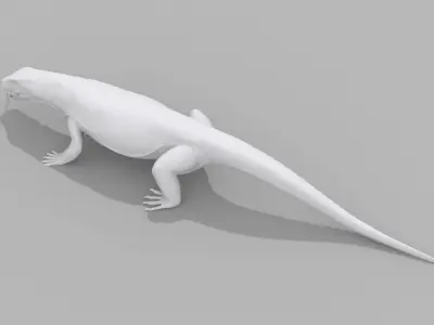 komodo Dragon Shape 3D model