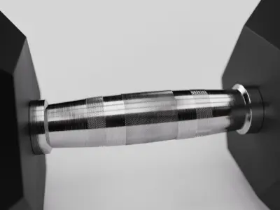 50LB Hex Dumbell 3D model