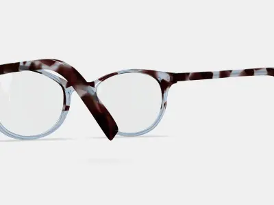 Virginia Eyeglasses in Icecap Tortoise Fade 3D model