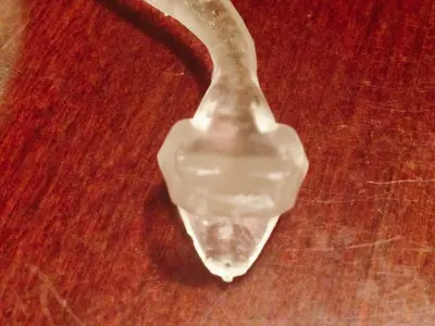 Snake resin and pla printable AAA 3D model