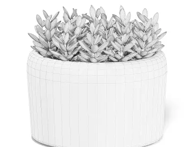 Plant in Stone Pot 3D Model 3D model