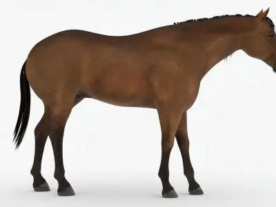 Lowpoly brown Horse Low-poly 3D model