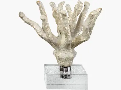 Sculptures of coral reef 01 3D model