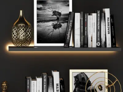 Combination Decoration Modern Bookcase 3D model