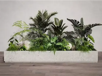 Tropical Plant Combination 3D model