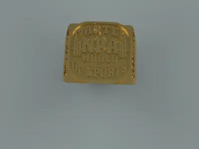 Master  Sport   3D print model by Faberge3d