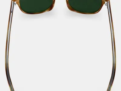 Downing Sunglasses in English Oak Low-poly 3D model