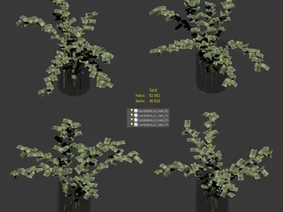 Eucalyptus in a vase - 4 models 3D model