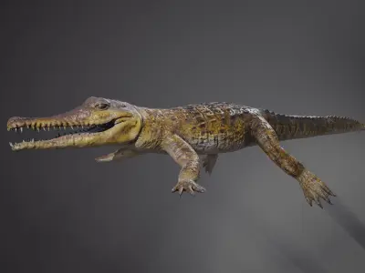 PBR Lowpoly Realistic Crocodile optimized for application Low-poly 3D model