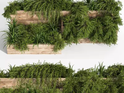 Outdoor Plants Tree in Plant Box Set0 3D model