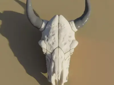 Cow Skull 3D model