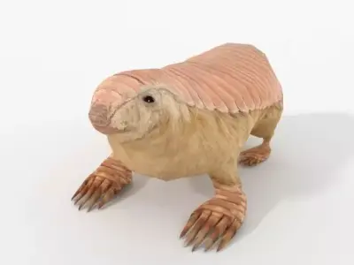 Pink Armadillo Low-poly 3D model