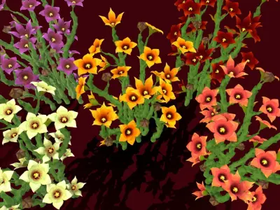 Flower Caralluma Socotrana Low-poly 3D model