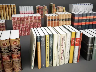 Book Collection 14 3D model