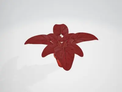 home decoration tree  Free 3D model