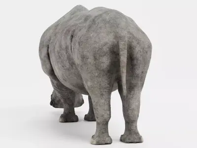 -White Rhinoceros- 3D model