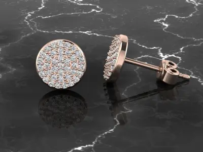 Earring Jewelry 3D print model order