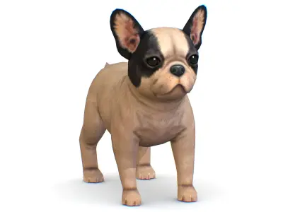Beige French Bulldog Dog Puppy Low-poly 3D model