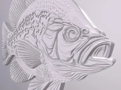 Crappie 1 basrelief for 3D printing 3D print model