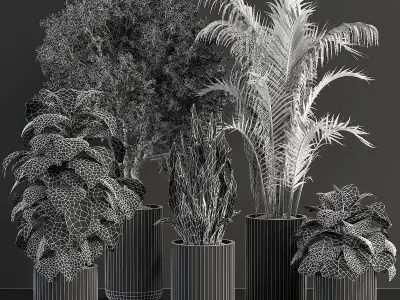 indoor plant 02 3D model