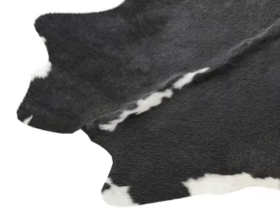 Black and White Cowhide Rug A24318 3D model