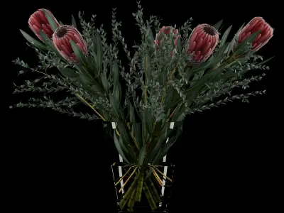 Protea with Eucalyptus parvifolia 3D model