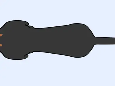 A Dachshund Dog With A Toon Cell Shade Style 3D model