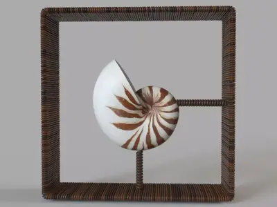 Nautilus Shadowbox 3D model