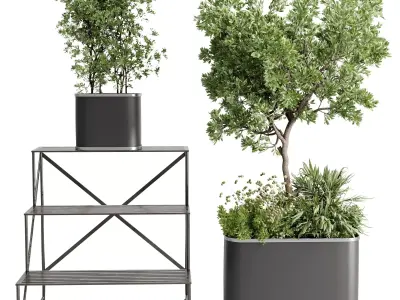 collection Indoor outdoor plant 692 plant stairs stand metal  3D model