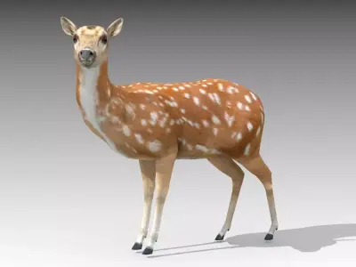 Female Deer Low-poly 3D model