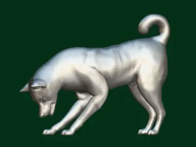 Shikoku Inu Dog Breed 3D model
