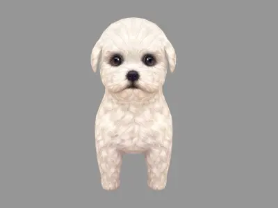 Cartoon pet puppy - Bichon - baby dog Low-poly 3D model