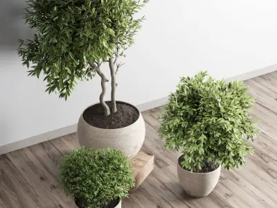 collection outdoor plant 23 - wood old vase Low-poly 3D model